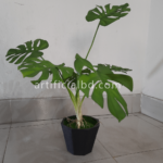 artificial Monstera Plant - artificialbd (1)
