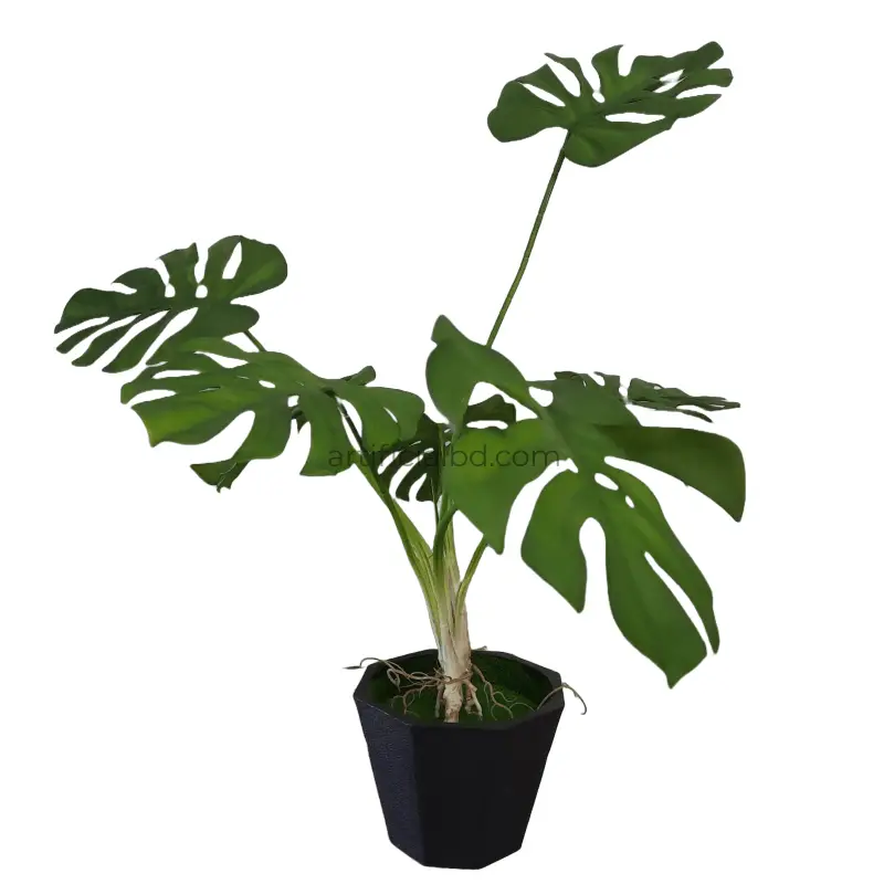 Articial Monstera Plant মনেরা গাছ